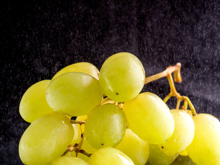 White grapes on black background with small splashes