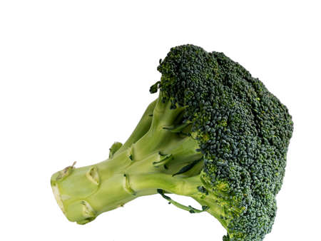 Close-Up Of Broccoli Against White Backgroundの写真素材