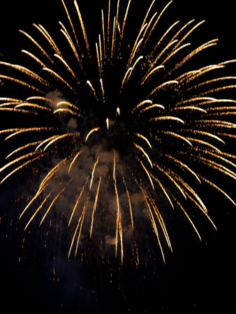 Fireworks against a black sky. high quality photo