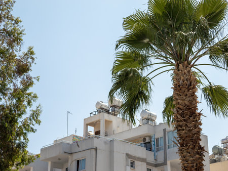 Large palm trees against a blue sky. high quality photoの写真素材