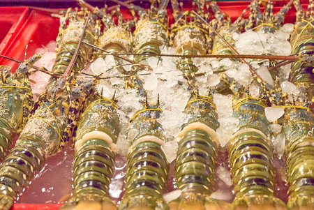 Vibrant and colorful lobsters placed elegantly on ice, showcasing their freshness in a bustling...