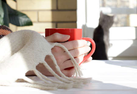 a warm drink and a cozy blanket at homeの写真素材