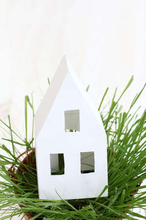 Concept white paper house in the ecological site with green grassの写真素材