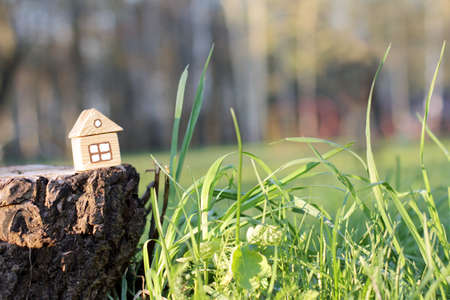 small house stands on the border with wildlifeの写真素材
