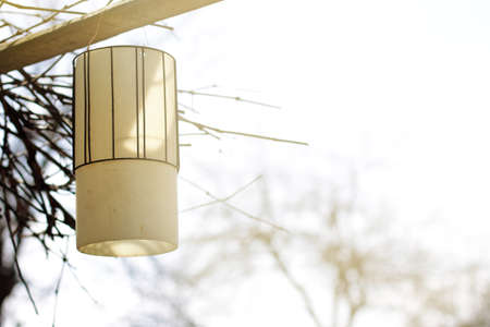 old lantern hanging in the garden at sunsetの写真素材