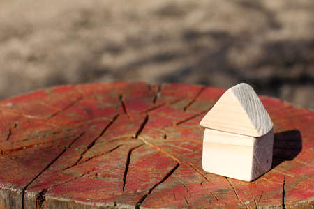 the image of a small house standing on a plot covered with cracksの写真素材