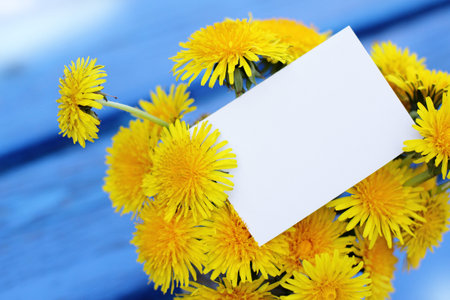 bouquet yellow dandelions card collected in the springの写真素材