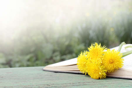 open book with a bookmark of spring flowers in natureの写真素材