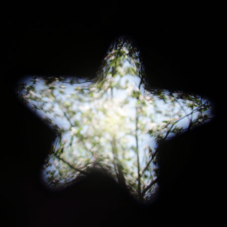 Star of the blurred background of flowering garden inside