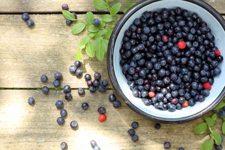 plate of berries in an iron bowl on old wooden table in sunny summer day / appetizing fresh forest berriesの写真素材