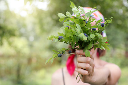 bouquet of forest blueberries in hand unrecognizable girl on the background of the rural landscape /...