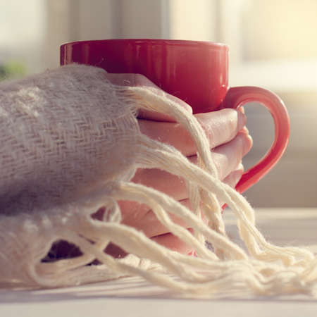 red mug in his hands covered with warm blanket / warming drink in the home environmentの写真素材