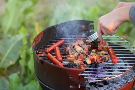 roasted on coals cold cuts in fragrant smoke / cook during picnic