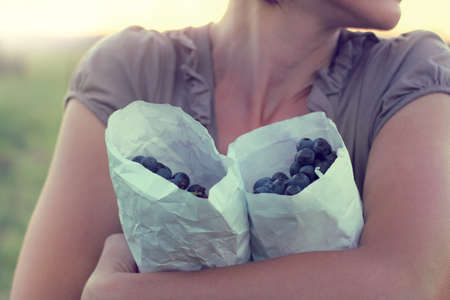 two packets dark grades of grapes in the hands of the gardener, on sunset background / collecting delicious fruitの写真素材