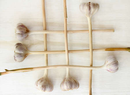 heads of garlic dried stacked on each other / natural aromatic seasoningの写真素材
