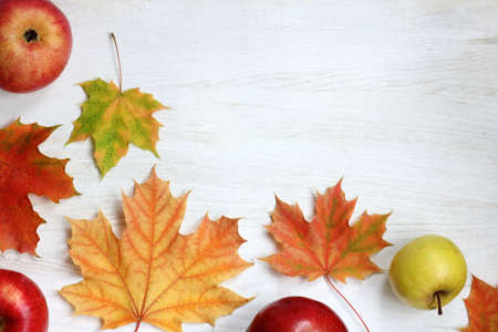 flat lay of apples and leaves on a light surface top view / special gifts of autumnの写真素材