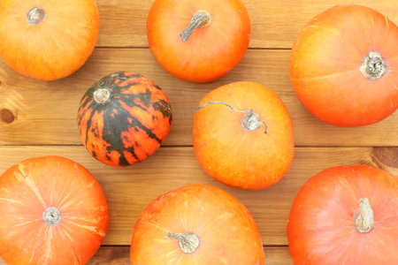 background of pumpkins on a wooden background top view / orange mood autumn