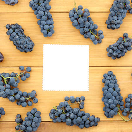 flat layout with bunches of dark grapes and a blank sheet of labels in the center / fruit varieties for titlesの写真素材