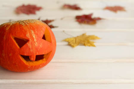 smiling pumpkin on a background of autumn leaves / meet Halloweenの写真素材