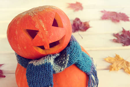 smiling pumpkin in a warm scarf on the background of autumn leaves / orange festive moodの写真素材