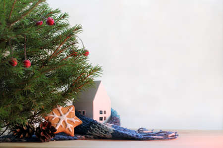 idea of warm home with a Christmas tree and ginger cookies / meeting winter holidays in a cozy atmosphereの写真素材