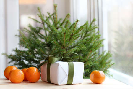Holiday gift with green bow and mandarin orange fruit on the table under a green tree on a background of a window at sunset / evening before Christmasの写真素材