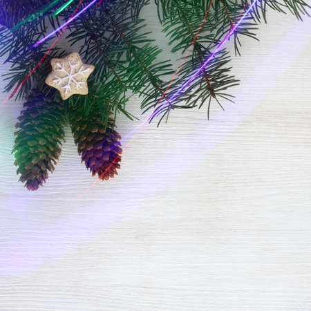 flat layout of fir branches with cones decorated ginger cookies and light streamers top view / New Year fairy taleの写真素材