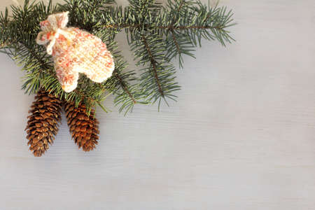 branches of this tree decorated with cones and knitted mitten in the rays of winter sun / warm atmosphere of holidaysの写真素材
