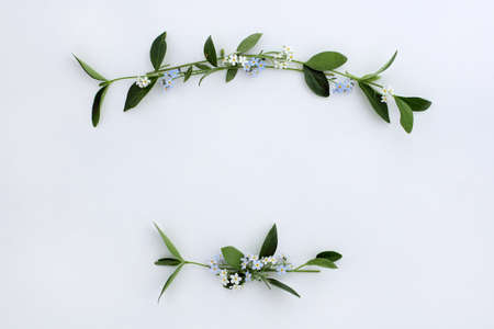 lay flat little white and blue flowers with green leaves on a light surface / background for wishes and congratulationsの写真素材