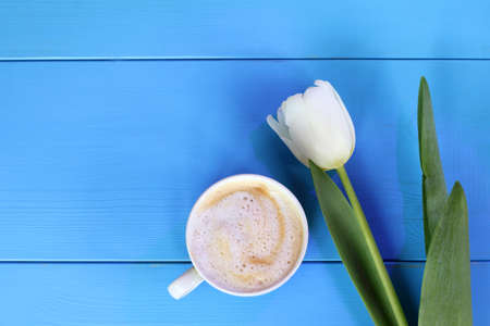 Frothy cappuccino with tulip, top view / coffee break with a delicate aromaの写真素材