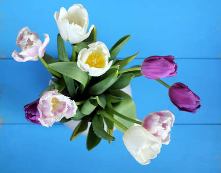 still life of tulips on a blue table top view / floral background for holidayの写真素材