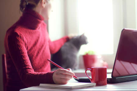 Girl stroking a cat in a break between work, in the background of the window / warm atmosphere of careの写真素材
