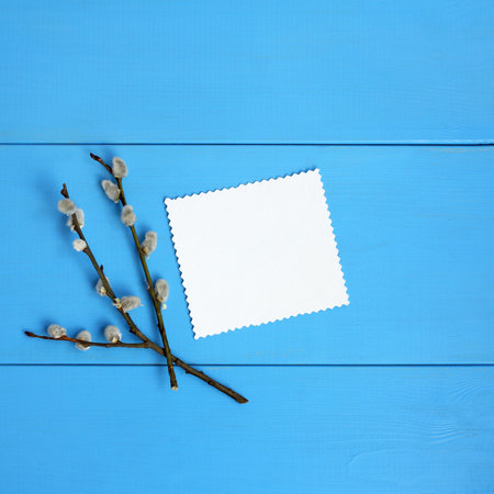 Twig pussy-willow with a patterned white leaf for inscriptions on a blue wooden table top...