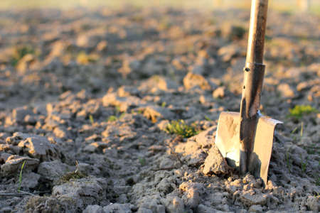 old shovel to dig on the background of the field in the sunset / working tool the test of timeの写真素材