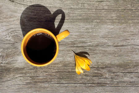 Yellow mug with a flower of crocus on an old bench / coffee pause in sunny tonesの写真素材
