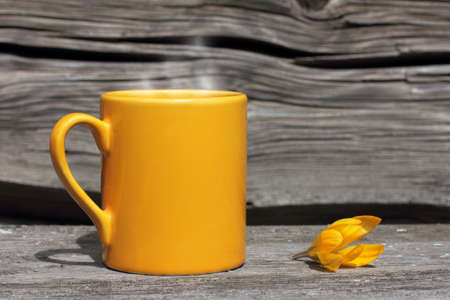 Yellow crocus flower and cup on an old bench near the house / fragrant drink in the fresh airの写真素材