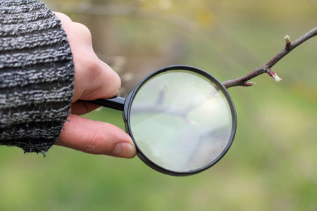 Magnifying glass in hand of the gardener in the spring / careful inspection seedlings