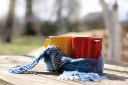 Mugs tied together warming scarf on the background of the landscape in the garden / warm drinks for the spring moodの写真素材