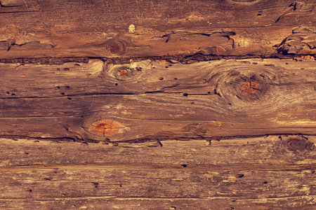 pine wooden logs with traces of damage by bark beetle / old wood texture