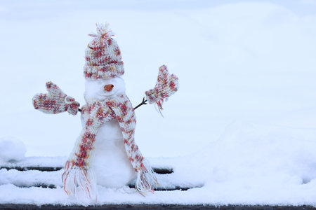 Christmas snowman caring dressed in warm scarf, hat and mittens on the background of snowy landscape...