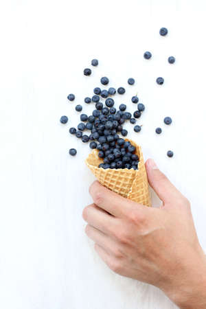 Idea of ice cream from fresh blueberries, flying out of a waffle horn / salute of a refreshing fruit tasteの写真素材