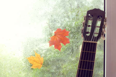 Guitar against the window with a pair of adhering maple leaves and rain drops / autumn melodyの写真素材
