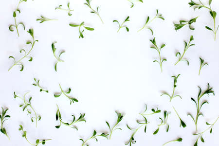 Flat lay of the set of green leaves of lavender spread out on a light surface top view / frame for wishesの写真素材