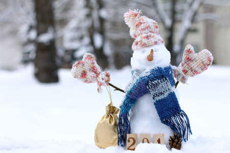 Christmas snowman in warm clothes on the background of snowy forest trees / gifts and smiles in the winter holidaysの写真素材