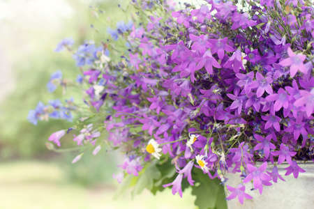 Large bouquet with purple bells and other wildflowers / fragrant summer atmosphereの写真素材