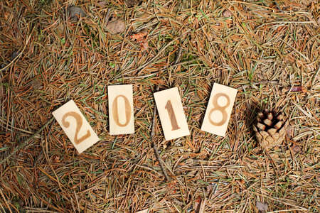 wooden numbers on a underlay of natural spruce needles Top view/ forest background 2018の写真素材