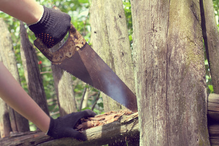 worker makes repairs very old fence / retro sawingの写真素材
