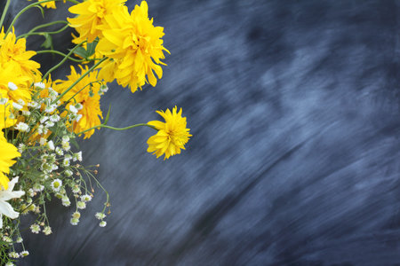 Yellow flowers on a background of chalkboard school board / atmosphere for knowledge