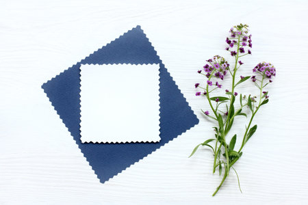 Flat lay patterned cards with a bouquet of flowers top view / background for congratulations