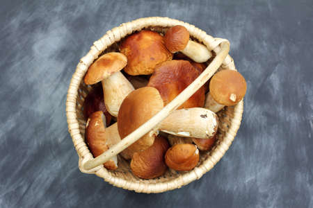 white boletus in a wicker basket top view / autumn harvest of delicate mushroomsの写真素材